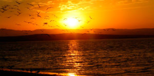 home_baner_principal_4_paracas_sunset_lima_peru